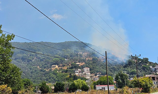 Marmara Adası'nda orman yangını