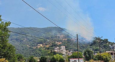 Marmara Adası'nda orman yangını