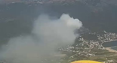Marmara Adası'nda orman yangını