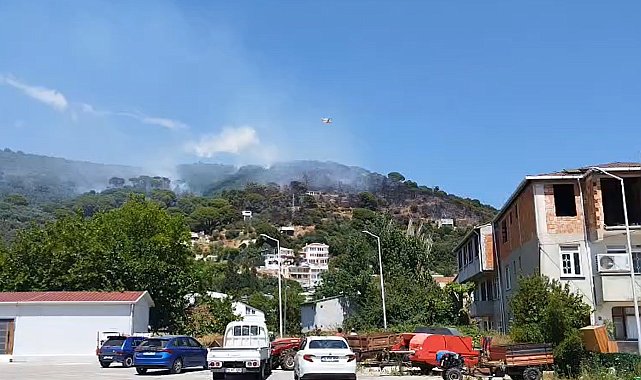 Marmara Adası'nda orman yangını
