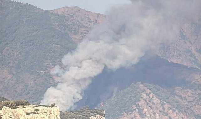 Marmaris'te orman yangını