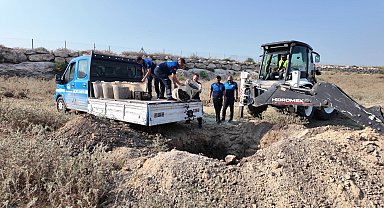 Mersin'de 200 kilo bozuk midye dolması ele geçirildi