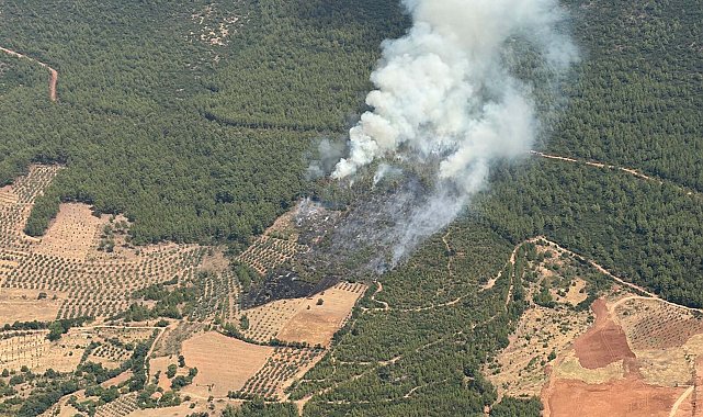 Muğla'da orman yangını