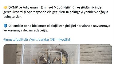 Nemrut Dağı'ndan çekirge toplayan 2 kişiye 1,4 milyon lira ceza