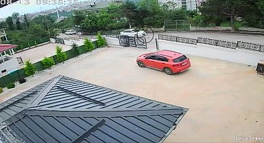 Ordu'da otomobilin çarptığı köpek öldü; 10 yaşındaki kız bayıldı