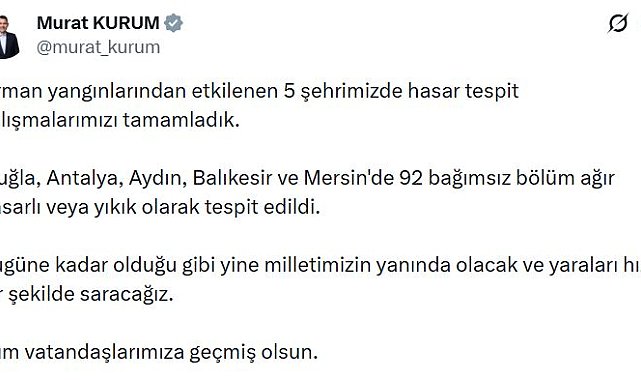 Orman yangınından etkilenen 5 ilde hasar tespit çalışmaları tamamlandı