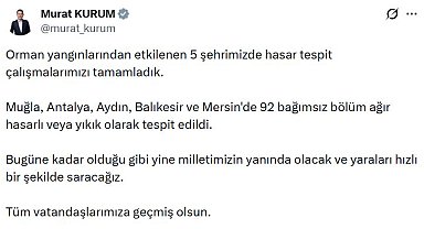 Orman yangınından etkilenen 5 ilde hasar tespit çalışmaları tamamlandı