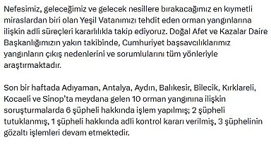 Orman yangınlarına ilişkin soruşturmada 11 şüpheli tutuklandı
