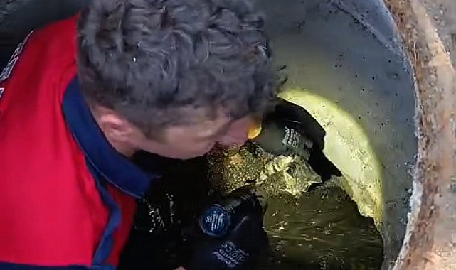 Rögara düşen kedi itfaiye ekibi tarafından kurtarıldı