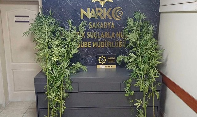 Sakarya'da uyuşturucu operasyonu; 1 tutuklama