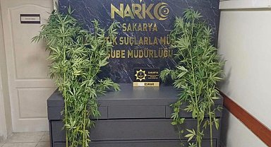 Sakarya'da uyuşturucu operasyonu; 1 tutuklama