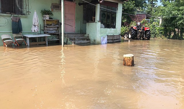 Samsun Çarşamba'da sağanak sırasında ev ve ahırları su bastı