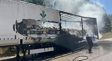 Şeker yüklü TIR'ın dorsesinde çıkan yangın ağaçlara sıçradı