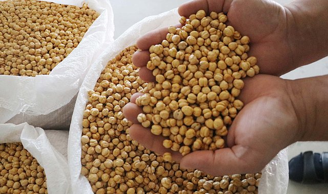 Serinhisar'dan 40'a yakın ülkeye leblebi ihracatı