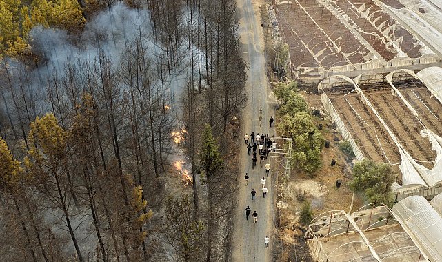 Seydikemer'de tarım arazisinde çıkan yangın, Kaş'ta ormana sıçradı