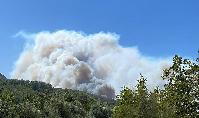Seydişehir'de tarım arazisinde çıkan yangın, Kaş'ta ormana sıçradı