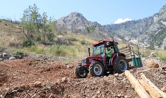 Sibel, ORKÖY desteğiyle aldığı traktörle odun taşıyor