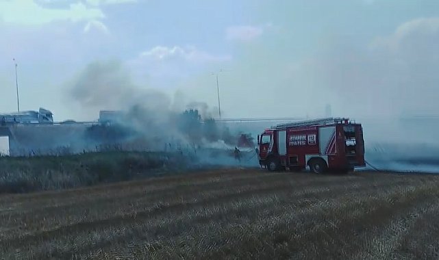 Silivri'de tarlada yangın - 1