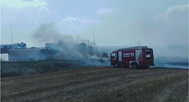 Silivri'de tarlada yangın - 1