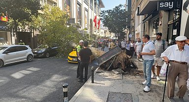 Şişli'de ağaç devrildi; yol trafiğe kapandı