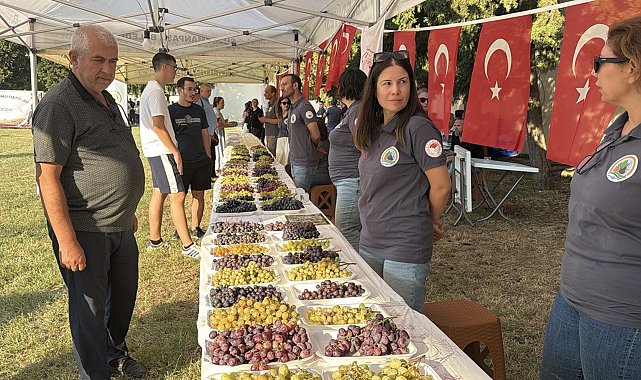 Tekirdağ'da 'Bağ Bozumu Şenliği' düzenlendi