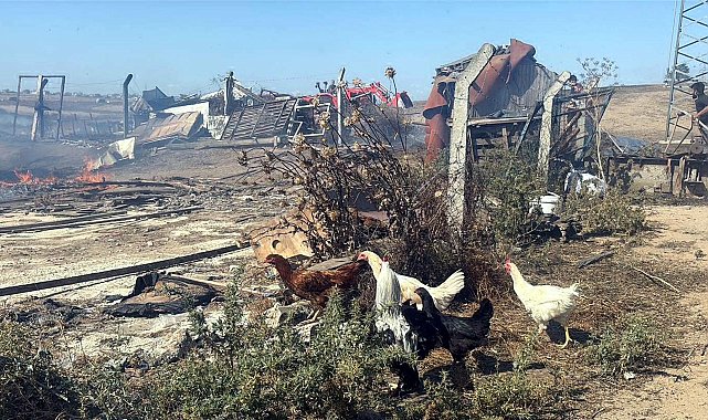 Tekirdağ'da anız yangını; 4 çiftlik evi yandı