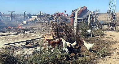 Tekirdağ'da anız yangını; 4 çiftlik evi yandı
