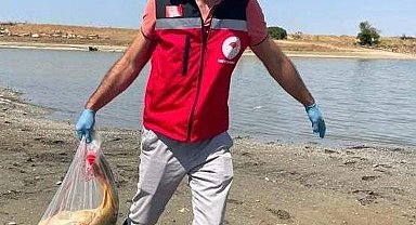 Tekirdağ'da gölette balık ölümlerine inceleme