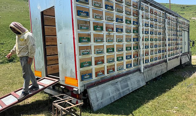 TIR dorsesini 'mobil bal üretim' tesisine dönüştürdü