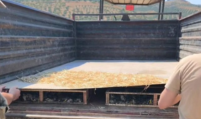 Traktörün römorkunda 2 bin 114 saka ele geçirildi; sürücüye 19,8 milyon TL ceza kesildi