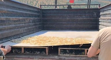 Traktörün römorkunda 2 bin 114 saka ele geçirildi; sürücüye 19,8 milyon TL ceza kesildi