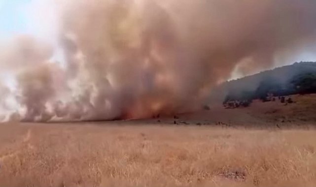 Tunceli'de ot yangını; alevlerin ormana sıçramaması için seferber oldular