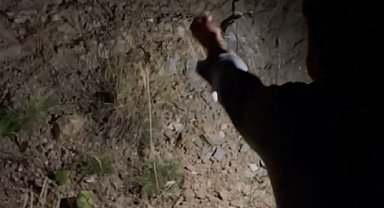 Uludağ yoluna inen tilkiyi etle beslediler
