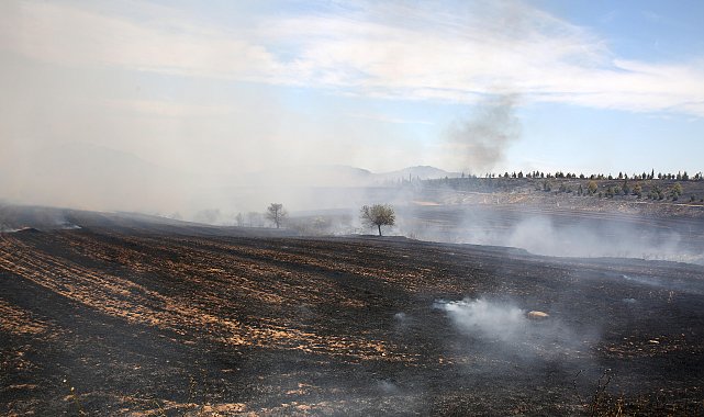 Uzmanından 'anız yakmak yerine sürerek toprağa karıştırma' önerisi