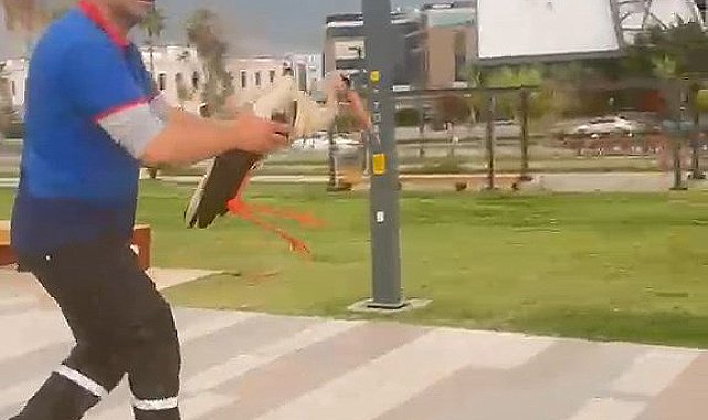 Yaralı leyleği kıyafetleriyle denize girip kurtardı