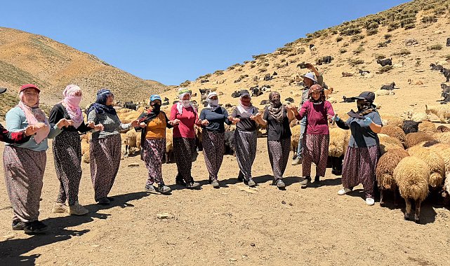 Yaylada süt sağımı sonrası halay çekerek stres atıyorlar