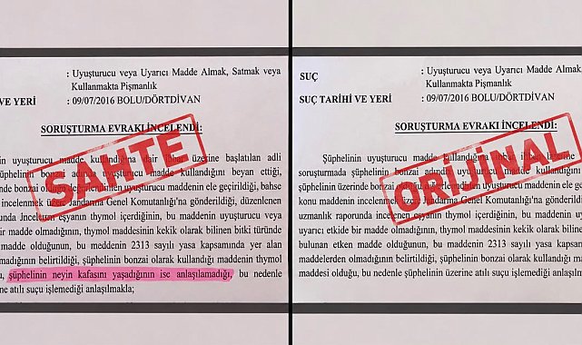 'Neyin kafasını yaşadığı anlaşılamadı' ifadeli savcılık kararı iddiasına soruşturma