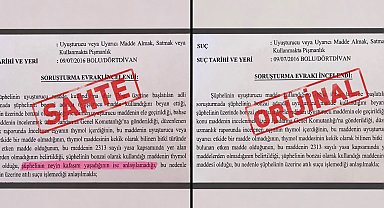 'Neyin kafasını yaşadığı anlaşılamadı' ifadeli savcılık kararı iddiasına soruşturma
