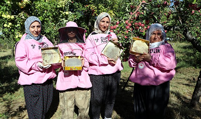 'Pembe maskeli' kadın arıcılar hasada başladı