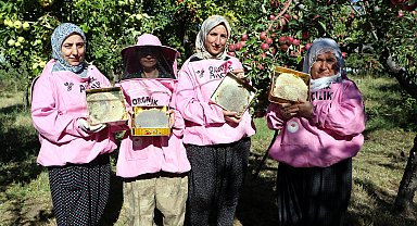 'Pembe maskeli' kadın arıcılar hasada başladı