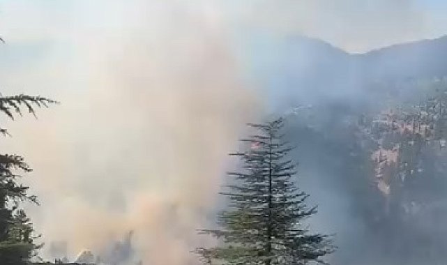 Adana'da 2 farklı bölgede orman yangını