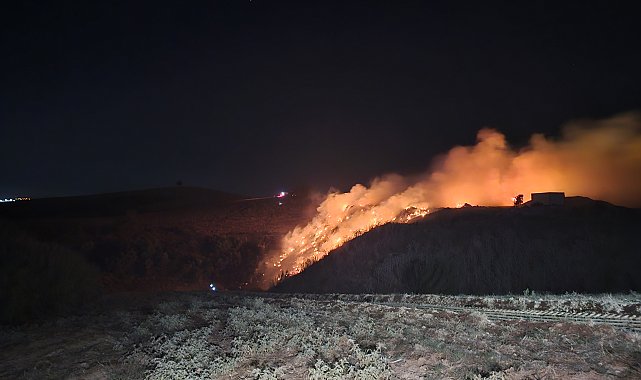 Adana'da çöplük alanda yangın