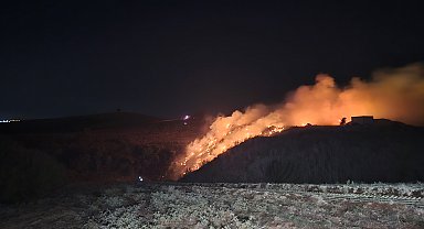 Adana'da çöplük alanda yangın