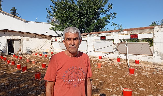 Adana'da hortumda zarar gören çiftliklerdeki 20 bin civciv öldü