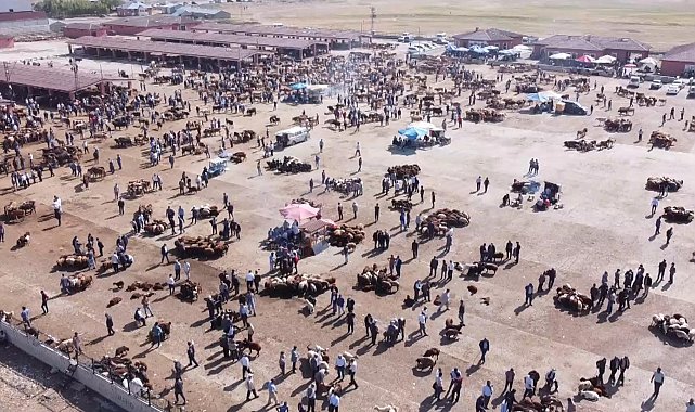 Ağrı Hayvan Borsası 30 gün süreyle kapatıldı