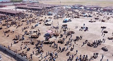 Ağrı Hayvan Borsası 30 gün süreyle kapatıldı