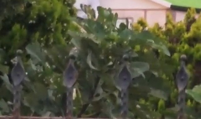 Akıma kapıldığı çatıdan ayaklarından sarkıtılarak indirildi, kaldırıldığı hastanede öldü