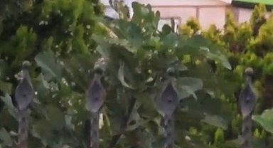 Akıma kapıldığı çatıdan ayaklarından sarkıtılarak indirildi, kaldırıldığı hastanede öldü