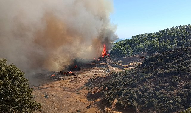 Antalya Kumluca'da orman yangını