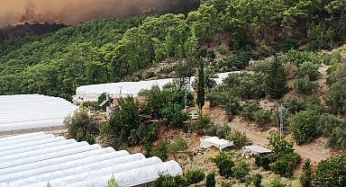 Antalya Kumluca'da orman yangını